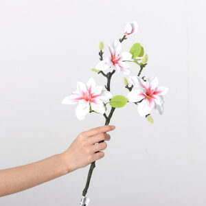 West Lake Magnolia (Pink and White)
