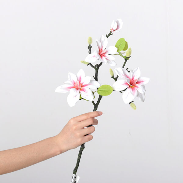 West Lake Magnolia (Pink and White)