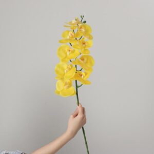 Real-Touch Coated Phalaenopsis Orchid (Yellow)