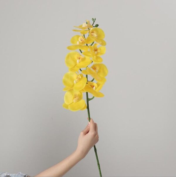 Real-Touch Coated Phalaenopsis Orchid (Yellow)
