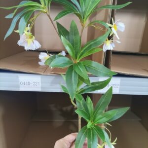 Artificial Water Banyan Flower