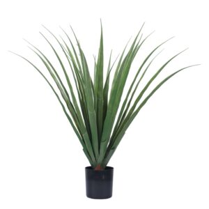 Fine-Leaf Miscanthus