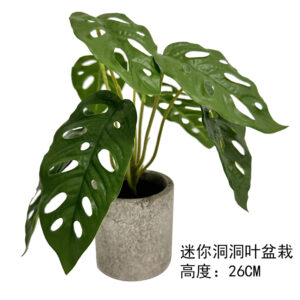 Mini Swiss Cheese Leaf Potted Plant