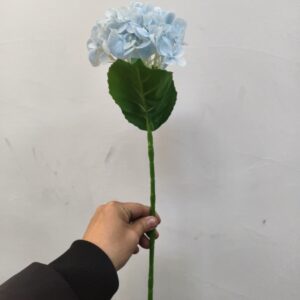 Small Western Hydrangea (Light Blue)
