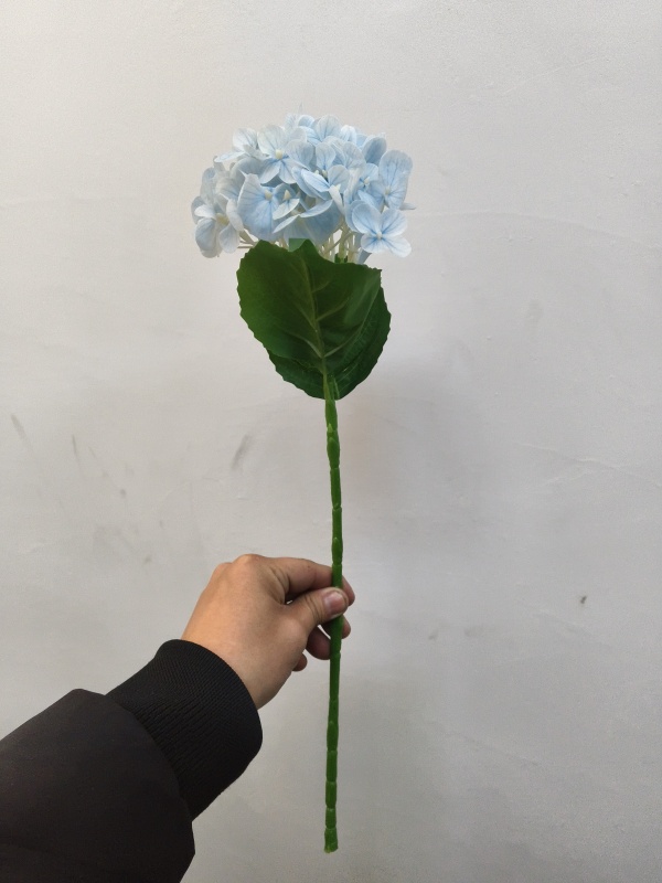 Small Western Hydrangea (Light Blue)