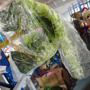 Artificial Green Flower Vine