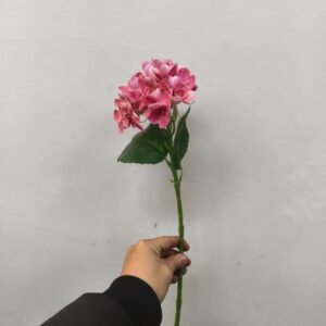 Small Western Hydrangea (Rose Pink)