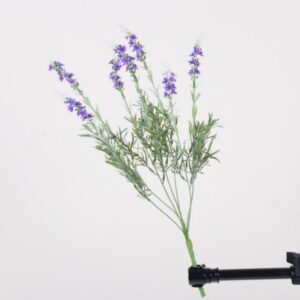 Artificial 7-Fork Lavender Baby's Breath - Purple