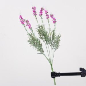 Artificial 7-Fork Lavender Baby's Breath - Red Lotus