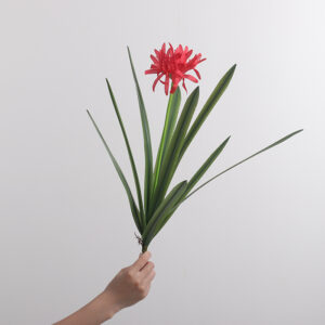 9-Leaf Red Spider Lily