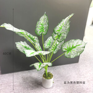 White Jade Leaf