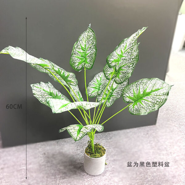 White Jade Leaf