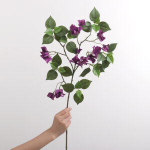 Single-Branch Bougainvillea (Purple)