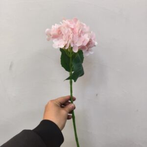 Small Western Hydrangea (Pink)