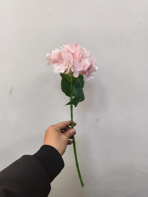 Small Western Hydrangea (Pink)