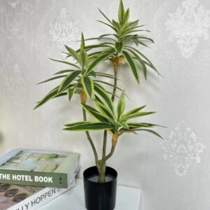 Small Lily Bamboo