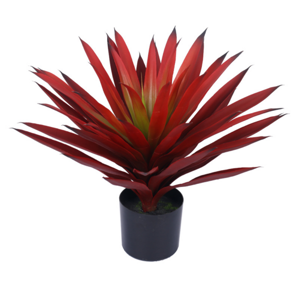 Red Agave (Small)