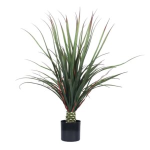 Fine-Leaf Miscanthus (Large)