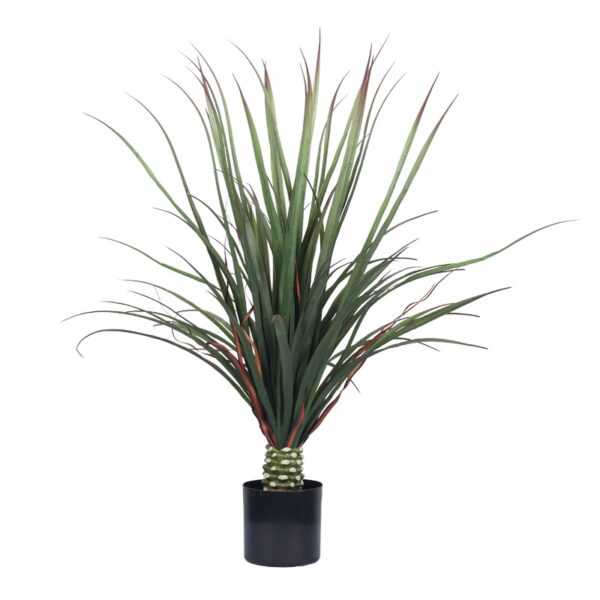 Fine-Leaf Miscanthus (Large)