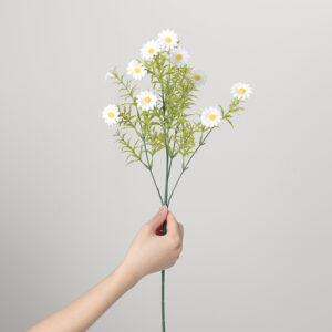 Tall-Stem Small Chrysanthemum (White)