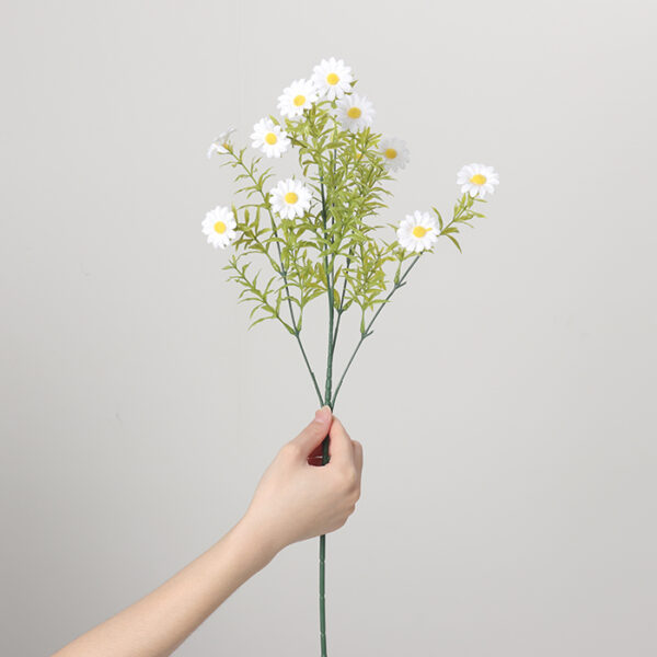 Tall-Stem Small Chrysanthemum (White)
