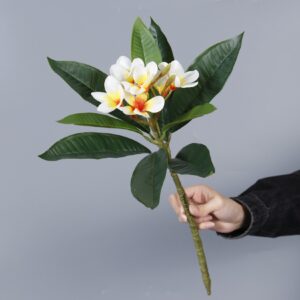 Artificial Frangipani, Yellow Center