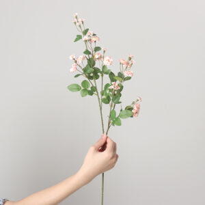 Medium-Stem Bubble Rose