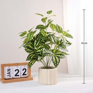 45CM Large-Branch Cold-Water Leaf Potted Plant