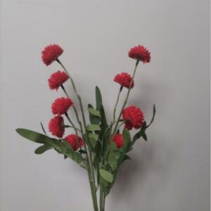 Dahlia Hydrangea (Red)