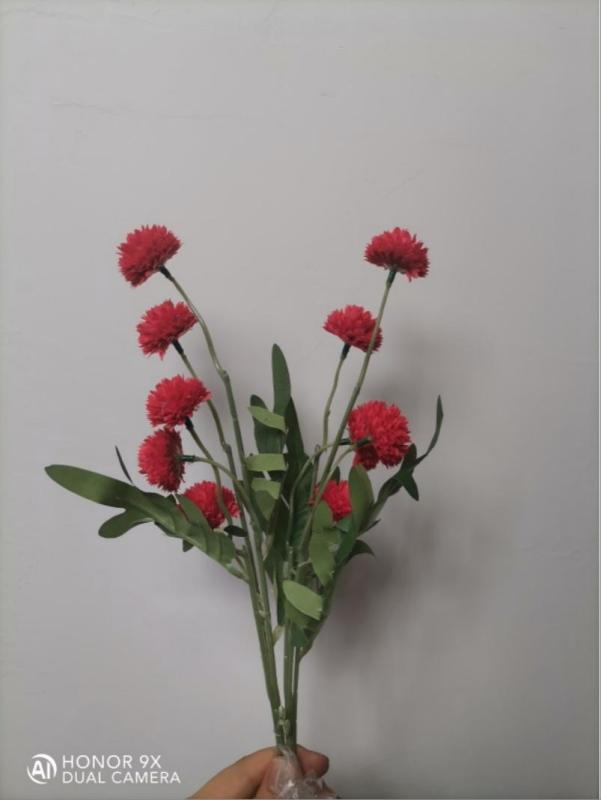 Dahlia Hydrangea (Red)