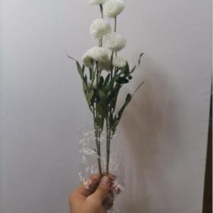 Dahlia Hydrangea (White)