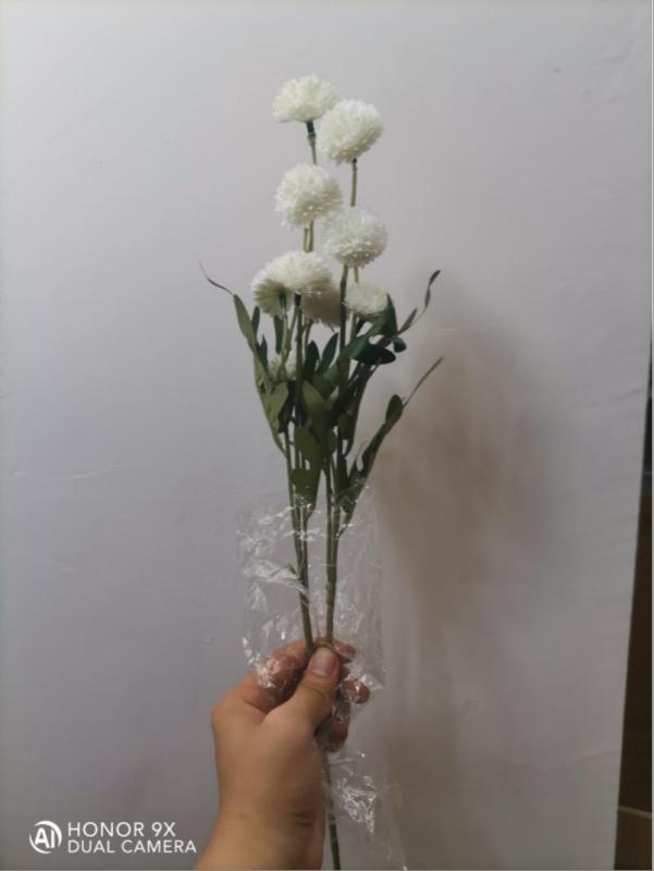 Dahlia Hydrangea (White)