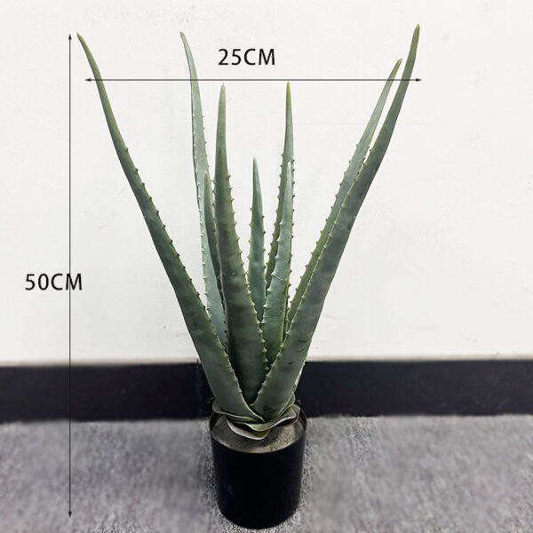 Dark Aloe