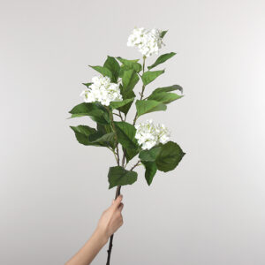 Large-Stem Snowball Flower