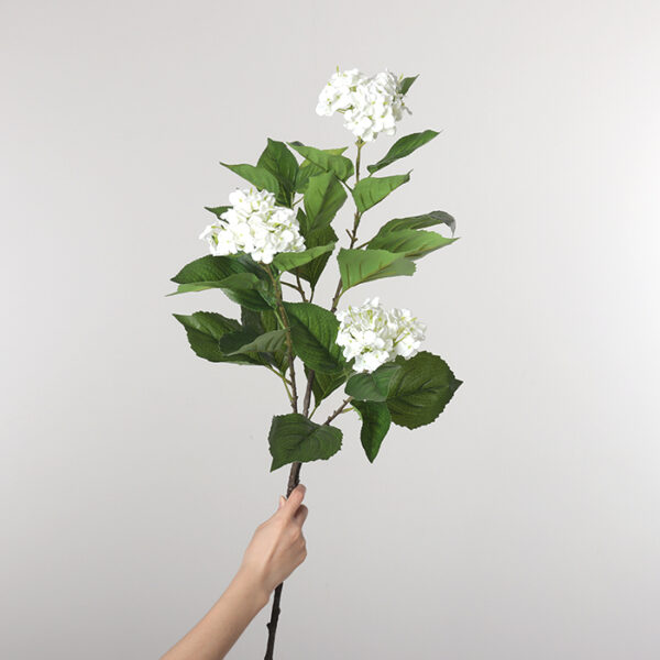 Large-Stem Snowball Flower