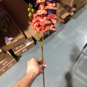 10-Head Mini Phalaenopsis Orchid (Orange)