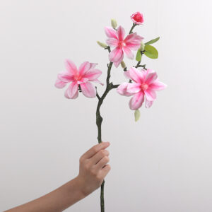 West Lake Magnolia (Deep Pink)
