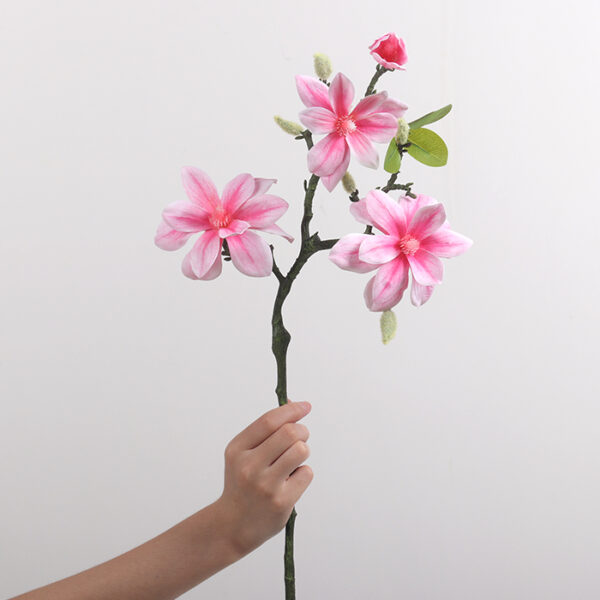 West Lake Magnolia (Deep Pink)