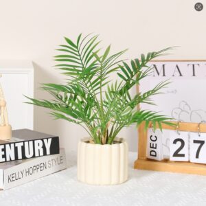 Large Bamboo Palm Potted Plant
