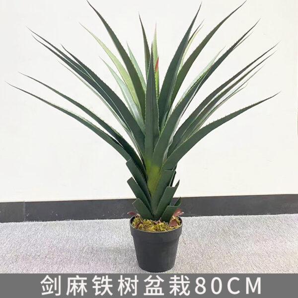 Sisal Cycad Potted Plant