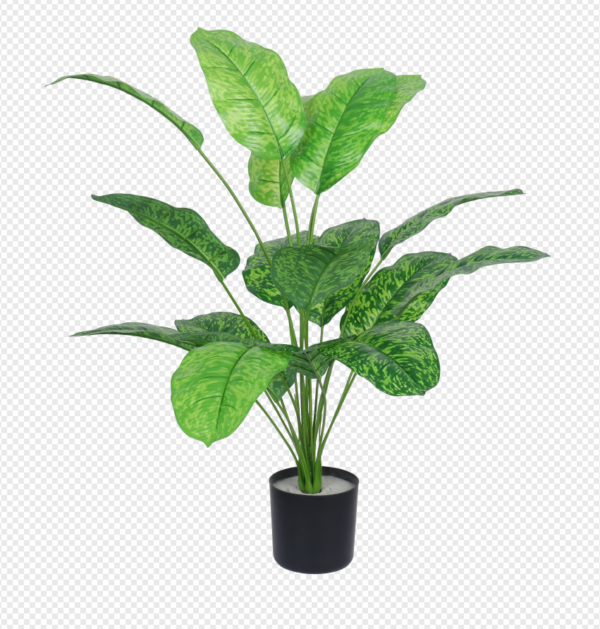 Variegated Traveler's Palm Potted Plant