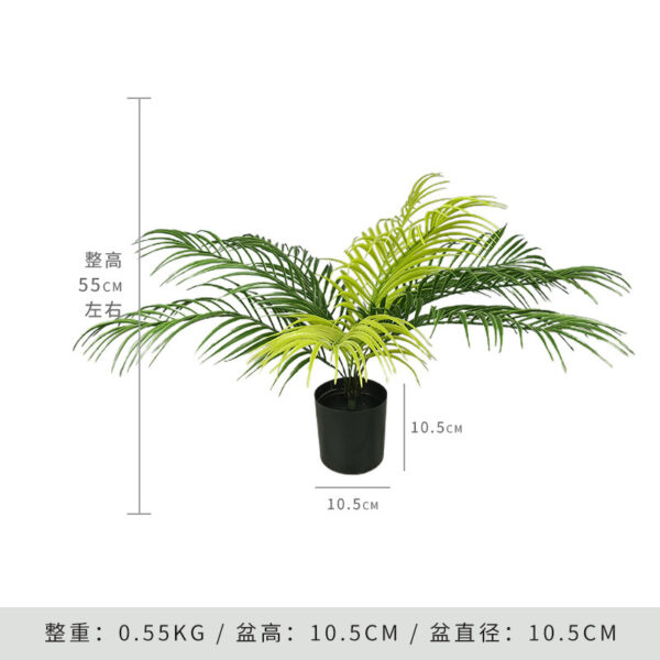 Phoenix Palm (Includes Black Base)