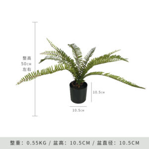 King Fern (Includes Black Base)