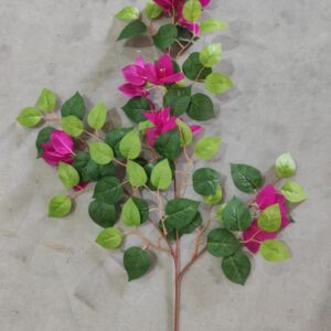 3-Branch Bougainvillea (Purple)