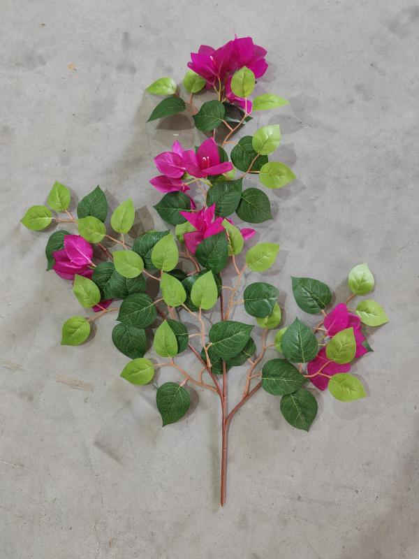 3-Branch Bougainvillea (Purple)