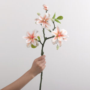 West Lake Magnolia (Champagne)