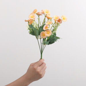 Small Zhi Chrysanthemum (Orange)