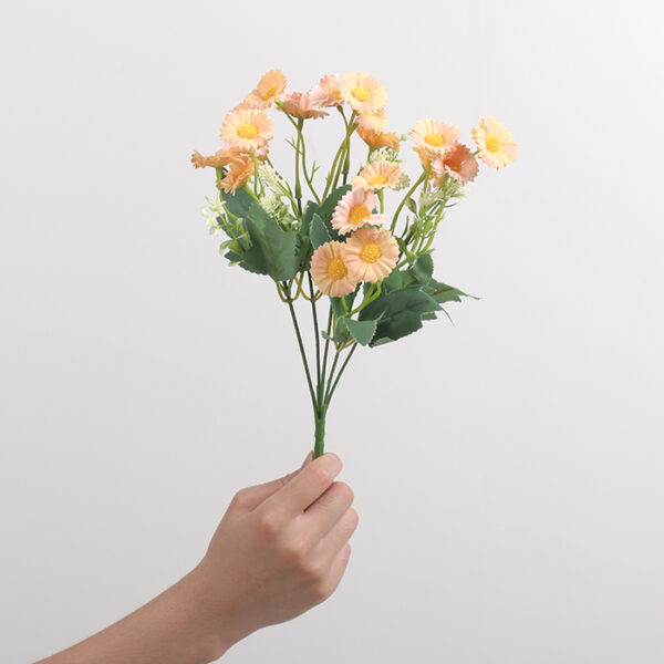 Small Zhi Chrysanthemum (Orange)