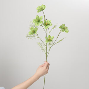 Love-in-a-Mist (Green)