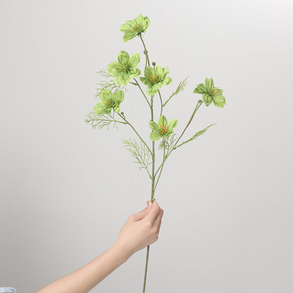 Love-in-a-Mist (Green)